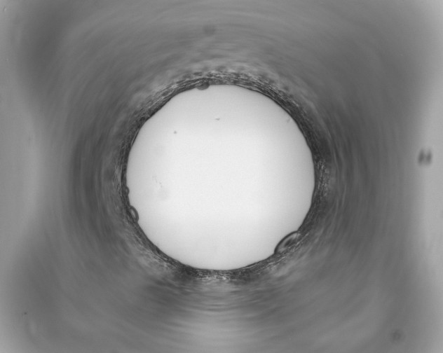 X0000090751489200708101713