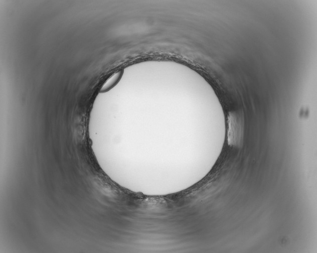 X0000090751491200708101713