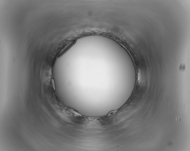 X0000090751492200708101713