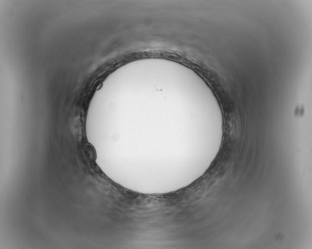 X0000090751493200708101713