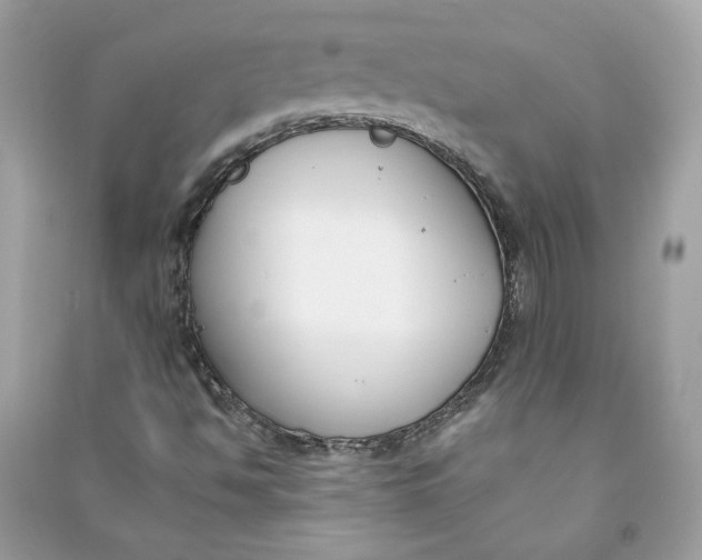 X0000090751494200708101713