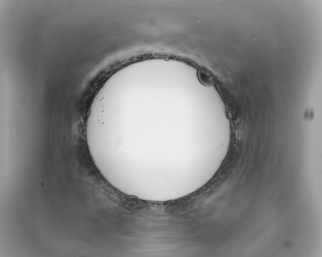 X0000090751495200708101713