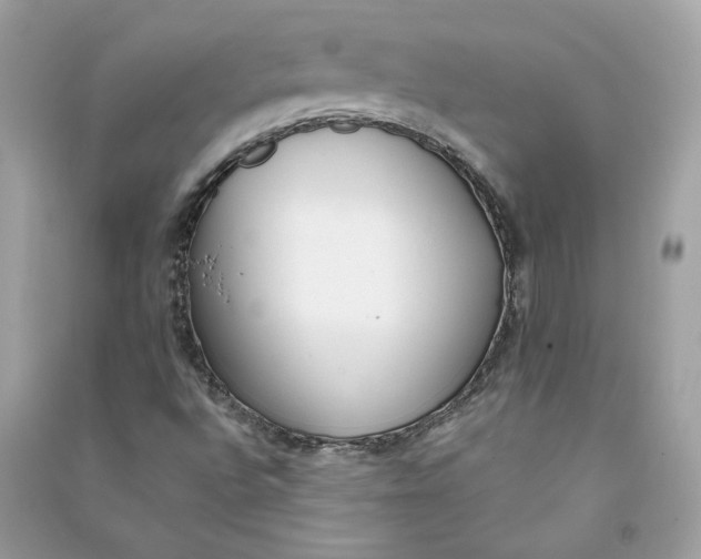 X0000090751496200708101713