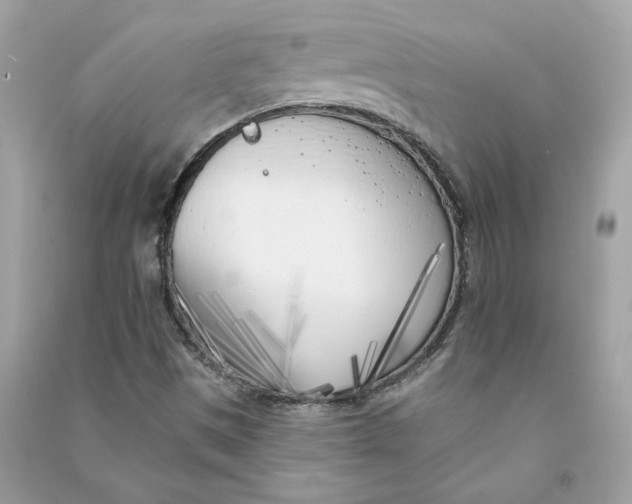 X0000090751497200708101713