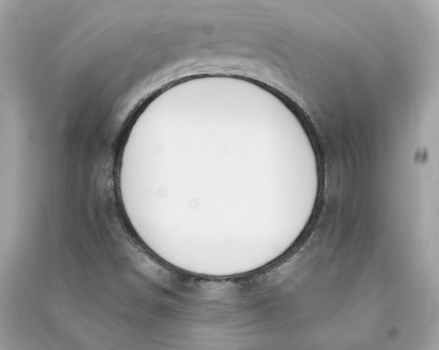 X0000090751498200708101713