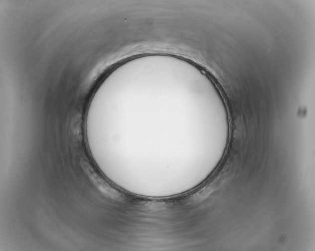 X0000090751499200708101713