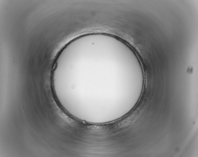 X0000090751500200708101713