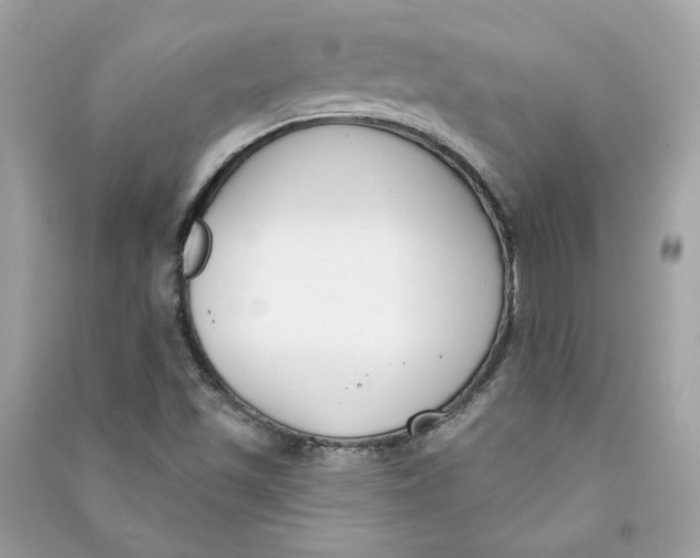 X0000090751501200708101713