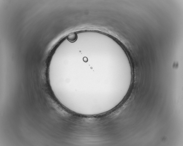 X0000090751502200708101713