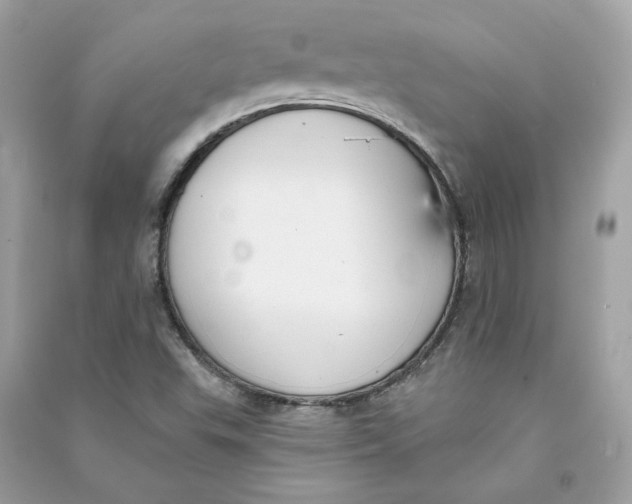 X0000090751503200708101713