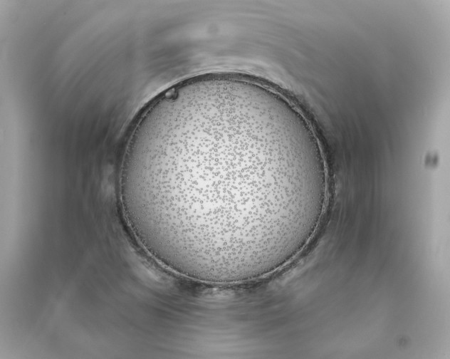 X0000090751505200708101713