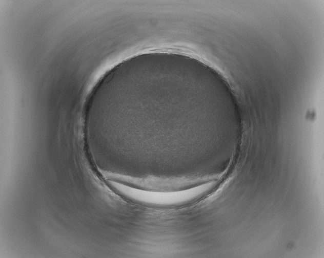 X0000090751506200708101713