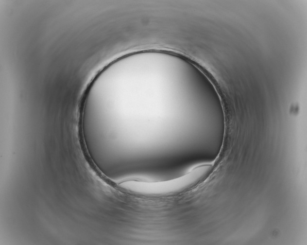 X0000090751508200708101713