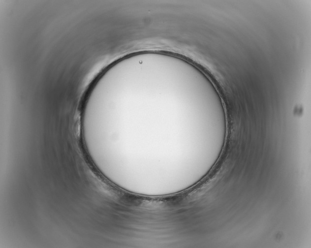 X0000090751509200708101713