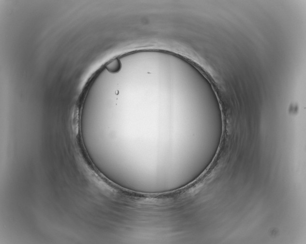 X0000090751510200708101713