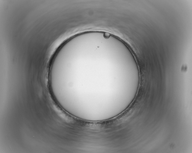 X0000090751511200708101713