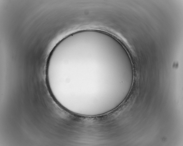 X0000090751512200708101713