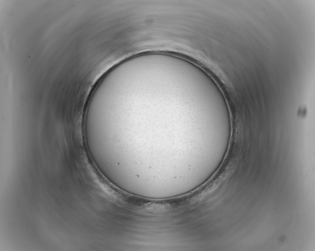 X0000090751513200708101713