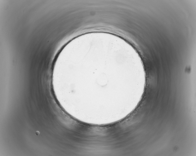 X0000090751514200708101713