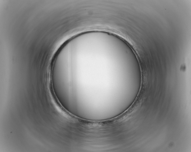 X0000090751515200708101713