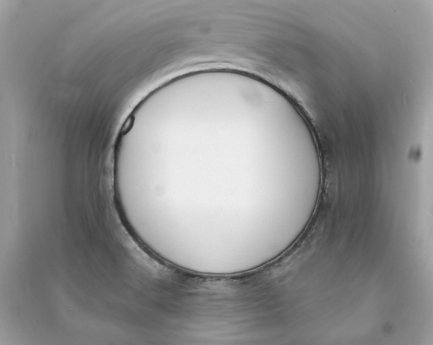 X0000090751516200708101713