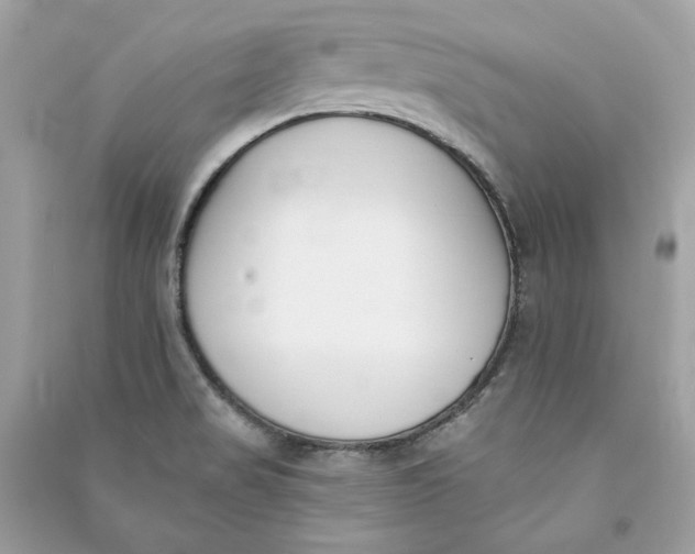 X0000090751517200708101713