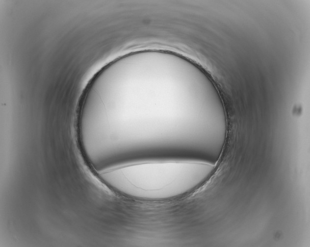 X0000090751518200708101713