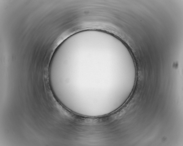 X0000090751521200708101713