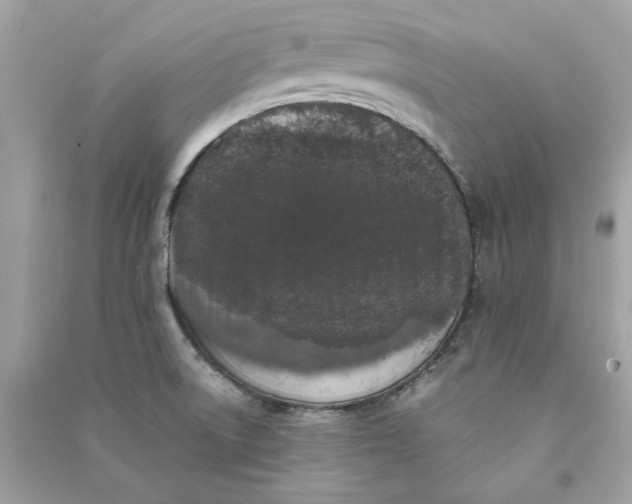 X0000090751522200708101713