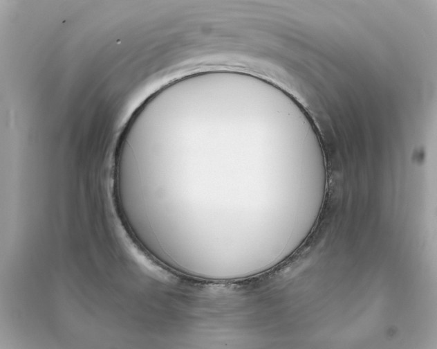 X0000090751523200708101713