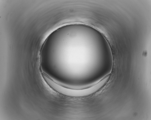 X0000090751524200708101713