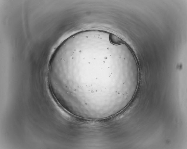 X0000090751525200708101713