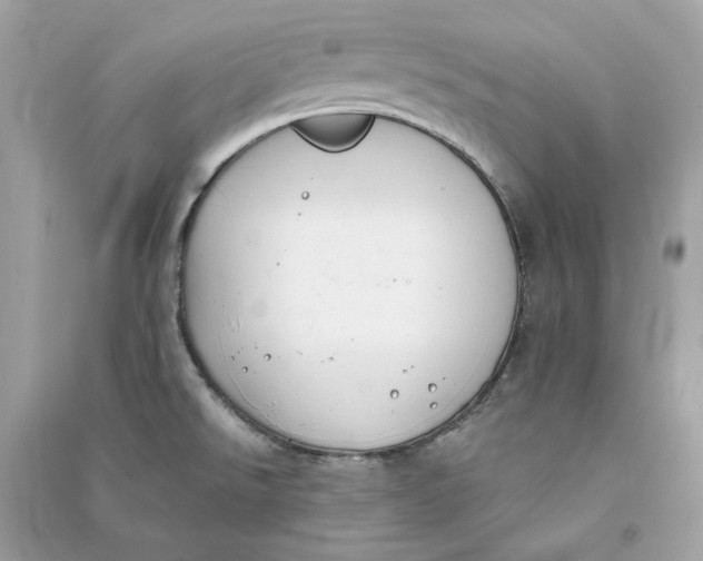 X0000090751526200708101713