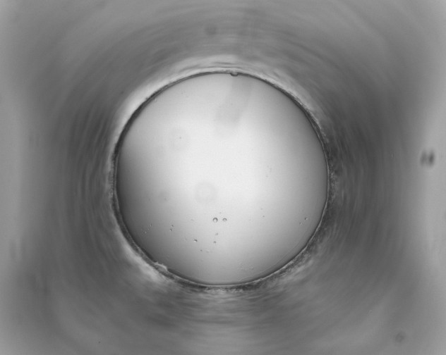 X0000090751527200708101713