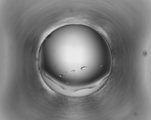 X0000090751528200708101713