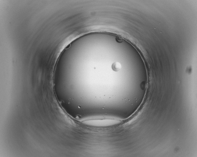 X0000090751529200708101713