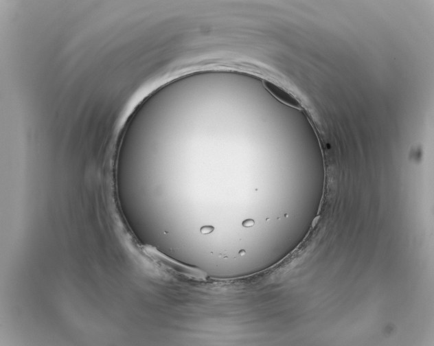 X0000090751530200708101713