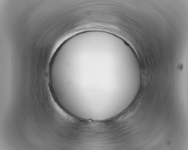 X0000090751531200708101713