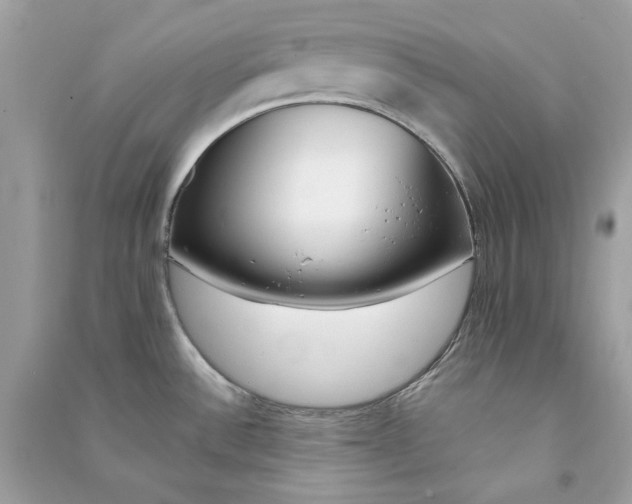 X0000090751532200708101713