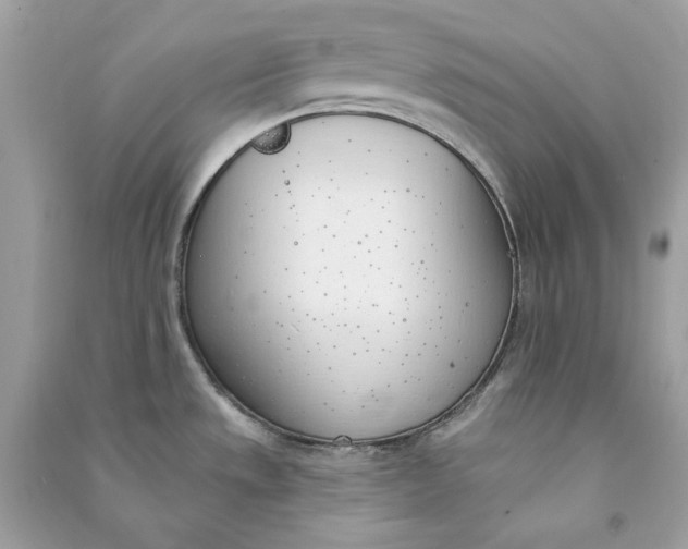 X0000090751533200708101713