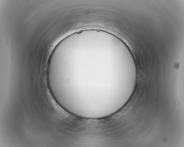 X0000090751534200708101713