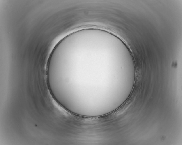 X0000090751535200708101713