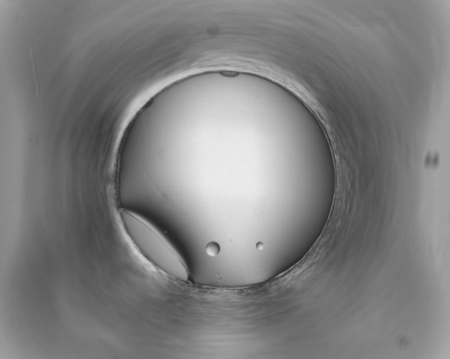 X0000090751536200708101713