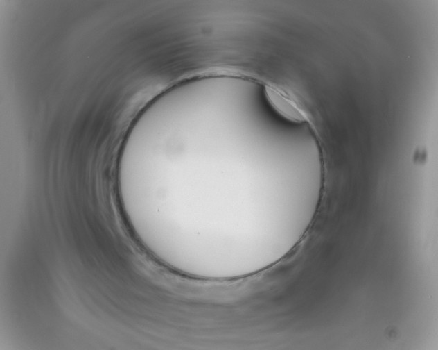 X0000090750001200708172037