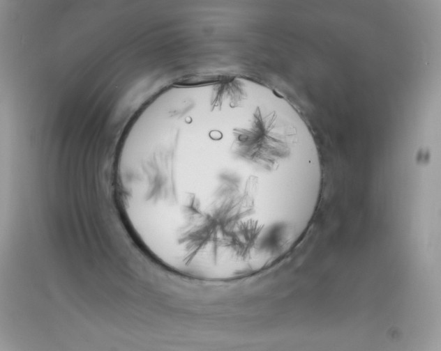 X0000090750002200708172037