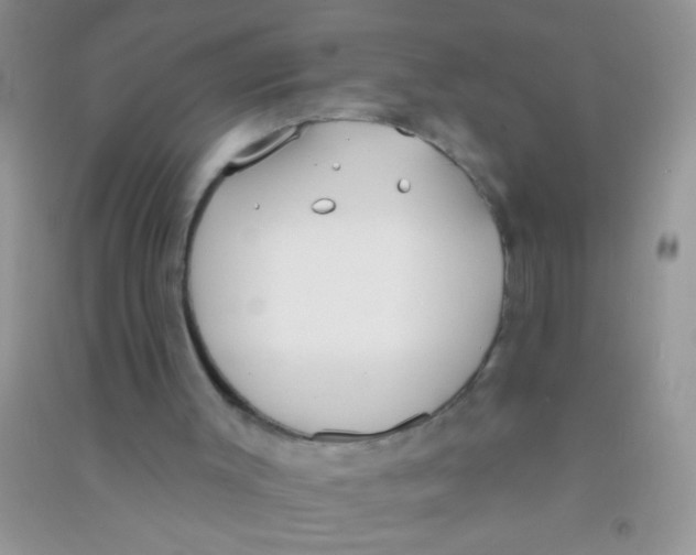 X0000090750003200708172037