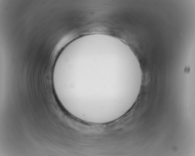 X0000090750004200708172037