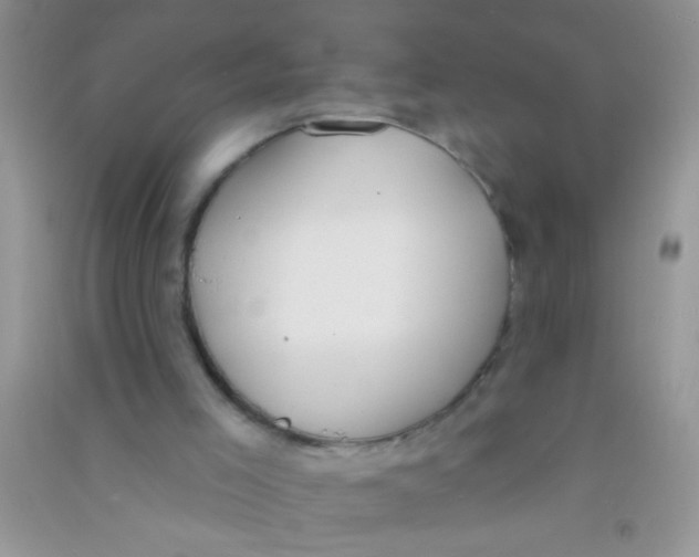 X0000090750005200708172037