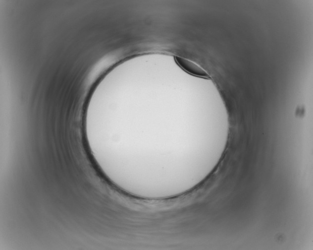X0000090750006200708172037