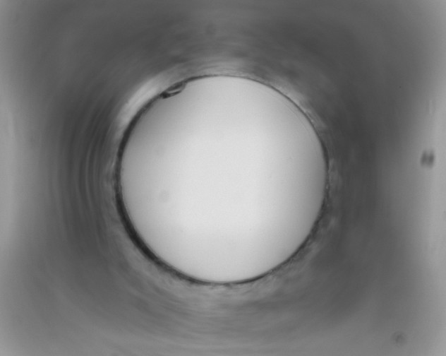 X0000090750007200708172037
